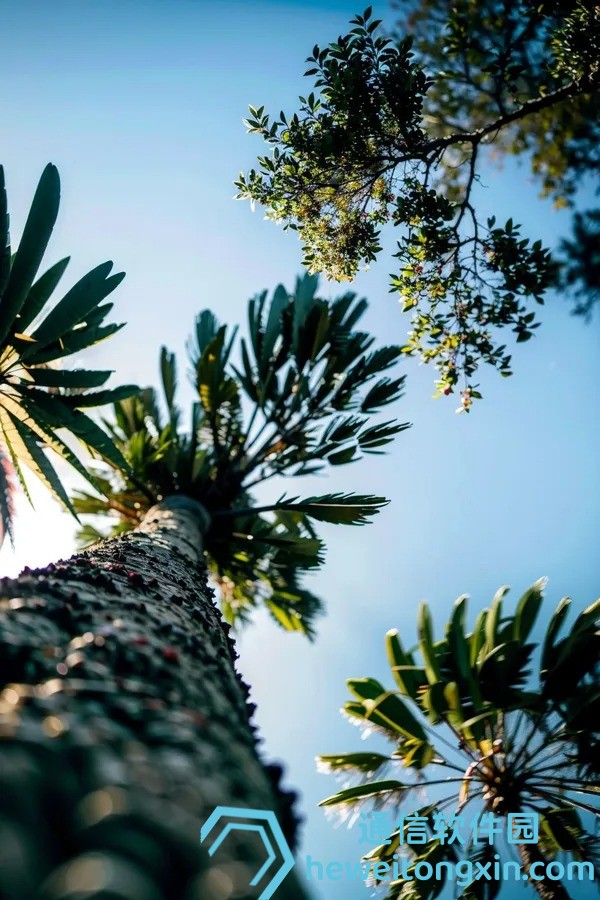 即時(shí)更新：香港澳門最快開獎(jiǎng)結(jié)果，搶先看最新開獎(jiǎng)號(hào)碼